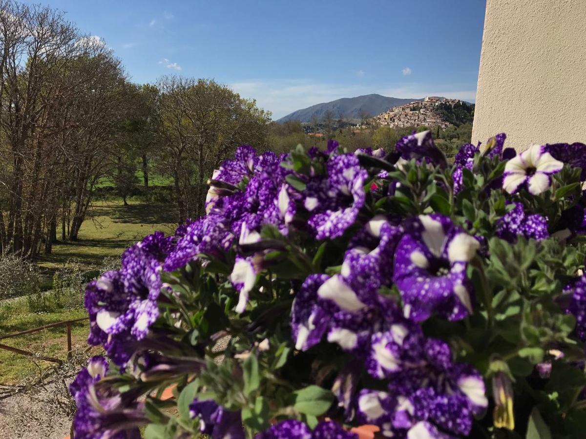 Agriturismo L'Ulivo Padula Bagian luar foto