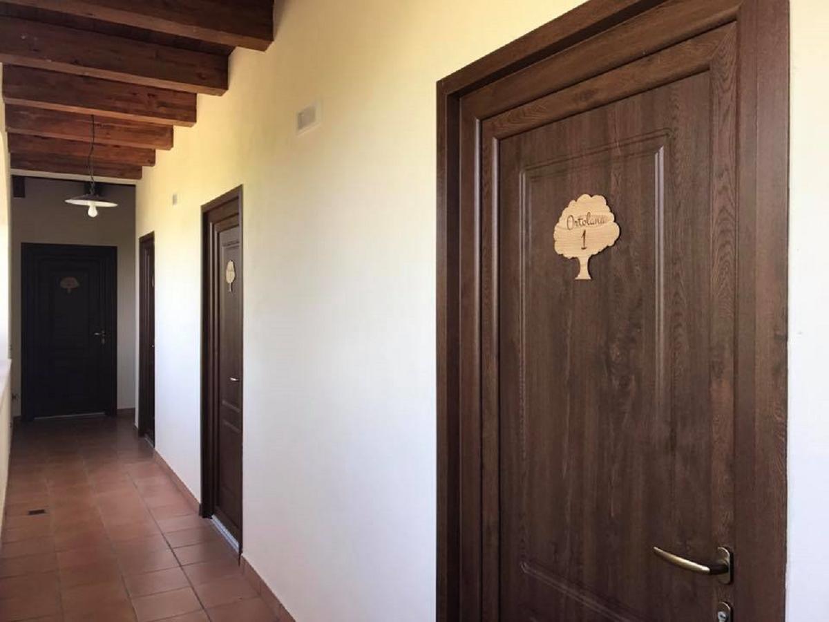 Agriturismo L'Ulivo Padula Bagian luar foto